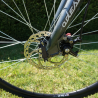 Front Disc