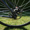 Rear Disc