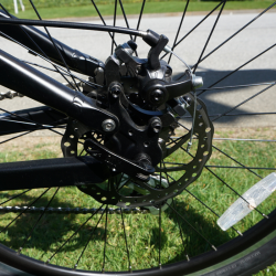 Rear Disc
