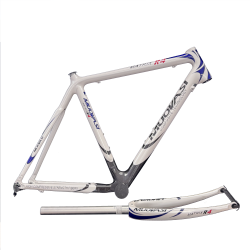 Carbon Fibre Frame