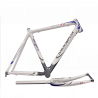 Carbon Fibre Frame