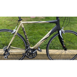 Carbon Fibre Frame